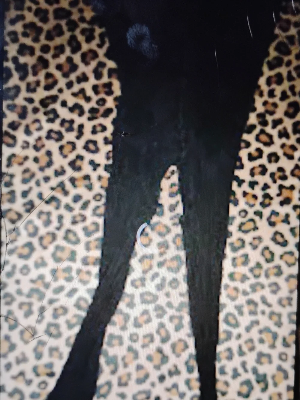 Black Women's Crotchless Pantyhose- Classic Black Hosiery